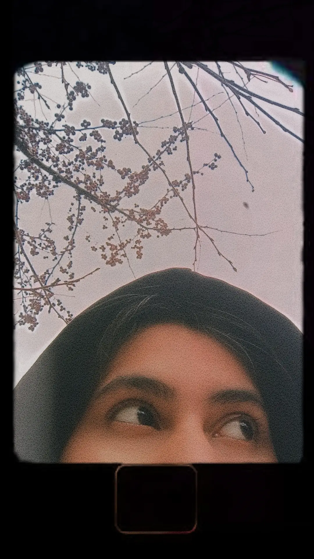 Nazlia Saima Mim